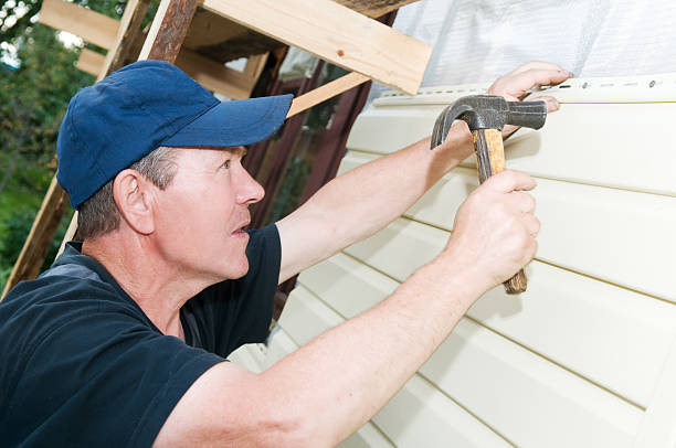 Best Aluminum Siding Installation  in Point Mackenzie, AK