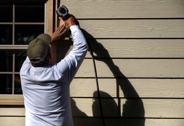 Affordable Siding Repair and Maintenance Services in Point Mackenzie, AK